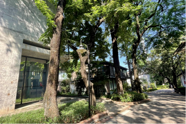 新仕誠公司順應(yīng)綠色發(fā)展潮流，堅(jiān)定不移推進(jìn)園區(qū)生態(tài)文明建設(shè)